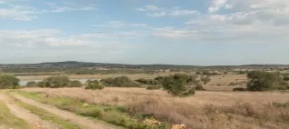 6 bedrooms House in Alcacovas, Portugal No. 121901 18