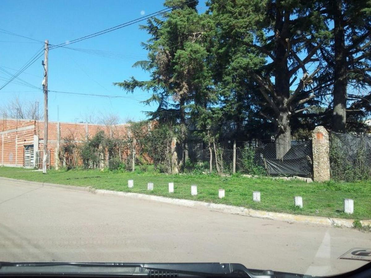  Land in Merlo, Argentina No. 111279