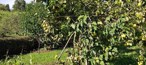 Земельный участок в Ремс-Мур, Германия № 307311 6