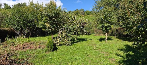 Земельный участок в Ремс-Мур, Германия № 307311 8