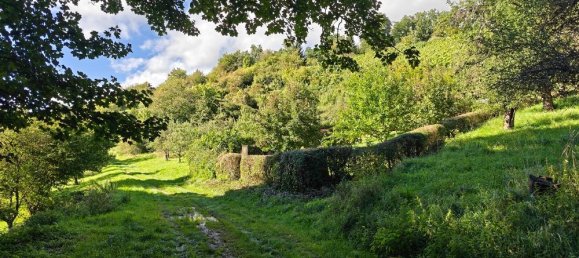 Земельный участок в Ремс-Мур, Германия № 307311 5