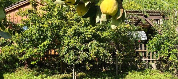 Земельный участок в Ремс-Мур, Германия № 307311 2