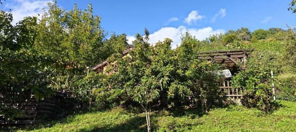 Земельный участок в Ремс-Мур, Германия № 307311 7