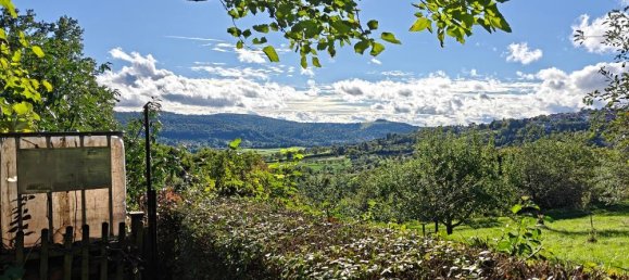 Земельный участок в Ремс-Мур, Германия № 307311 4