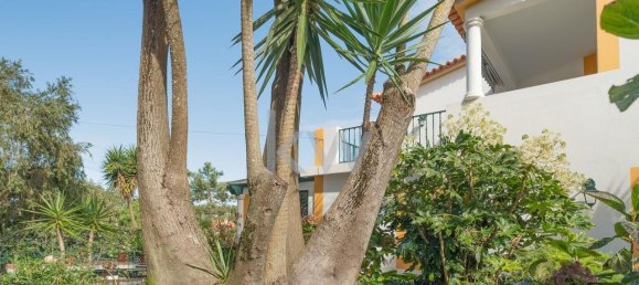 5 bedrooms House in Obidos, Portugal No. 123972 22