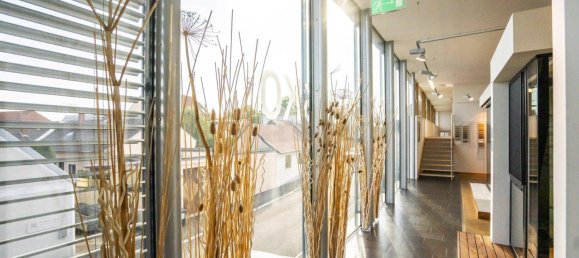  Commercial property in Langenlois, Austria No. 120331 11