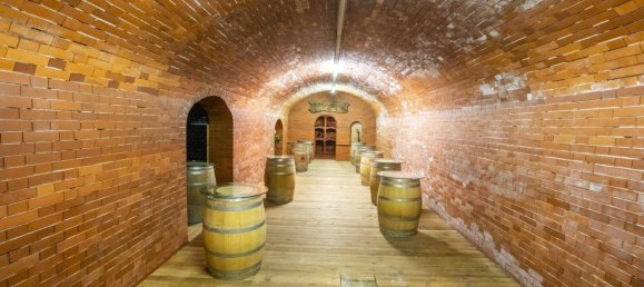  Commercial property in Langenlois, Austria No. 120331 26