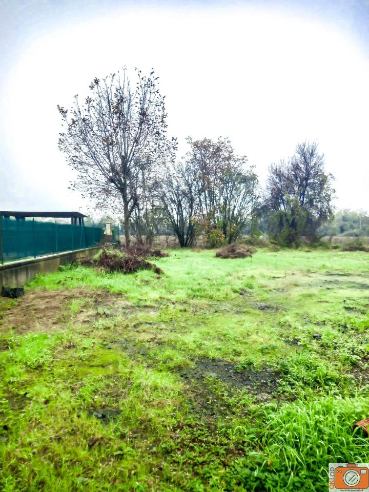 1570m² Land in Traversetolo, Italy No. 6024