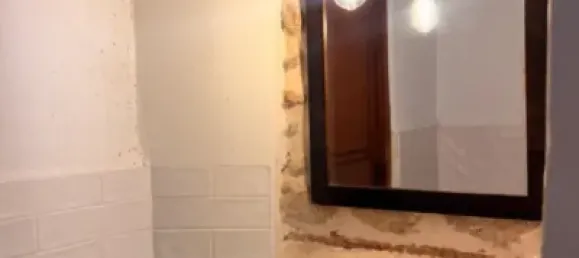 7 bedrooms House in Palma de Majorca, Spain No. 173932 6