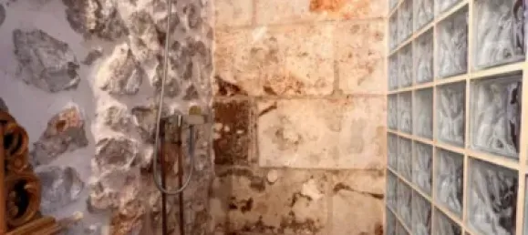 7 bedrooms House in Palma de Majorca, Spain No. 173932 5