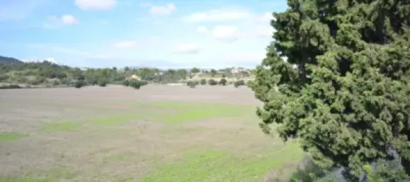 7 bedrooms House in Palma de Majorca, Spain No. 173932 50