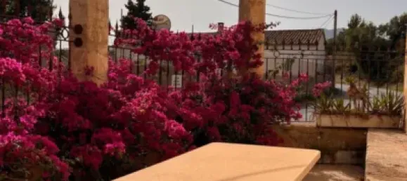 7 bedrooms House in Palma de Majorca, Spain No. 173932 32