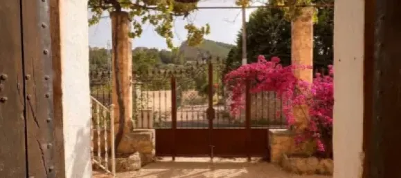 7 bedrooms House in Palma de Majorca, Spain No. 173932 24