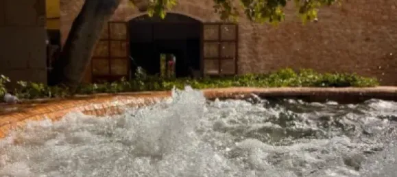 7 bedrooms House in Palma de Majorca, Spain No. 173932 44