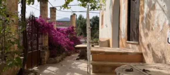 7 bedrooms House in Palma de Majorca, Spain No. 173932 33