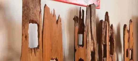 7 bedrooms House in Palma de Majorca, Spain No. 173932 18