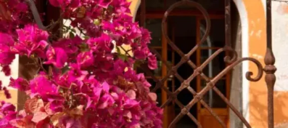 7 bedrooms House in Palma de Majorca, Spain No. 173932 16