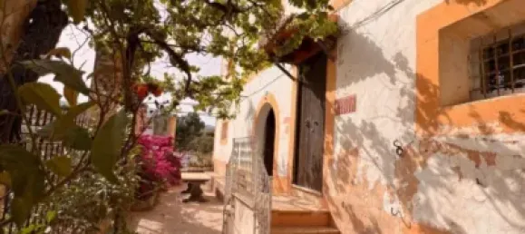 7 bedrooms House in Palma de Majorca, Spain No. 173932 34