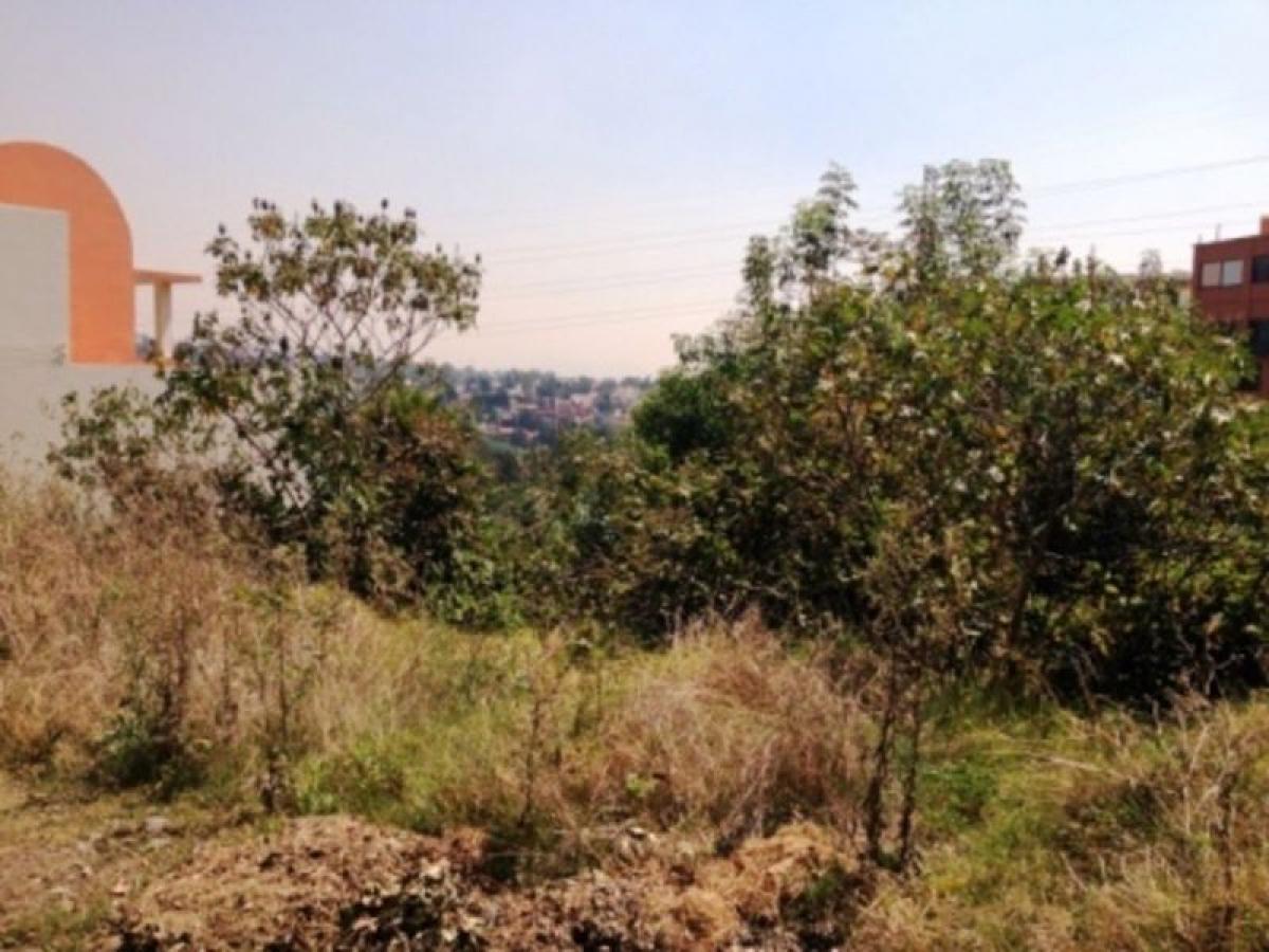 Terreno em Mexico N.º 205616