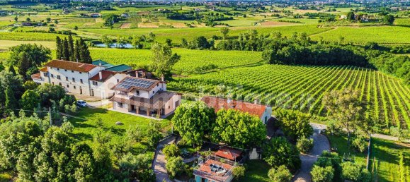 4 bedrooms Villa in Cerreto Guidi, Italy No. 271498 6