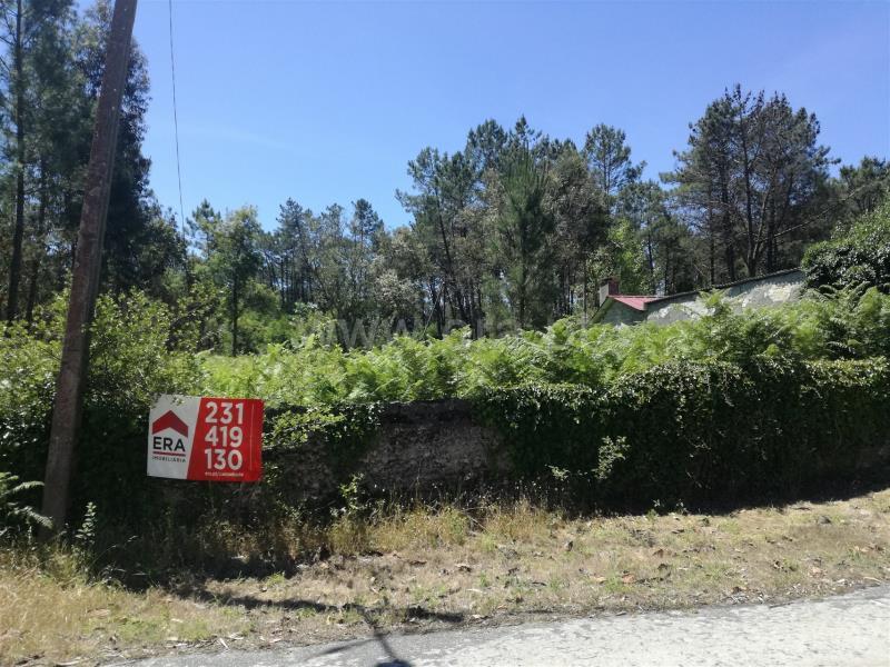 7040m² Land in Sao Caetano, Portugal No. 200340