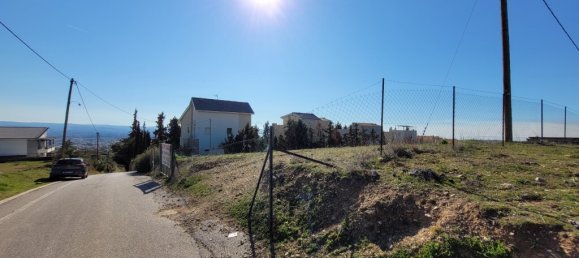 Terrain à Panorama, Greece 3000m² No. 93500 9