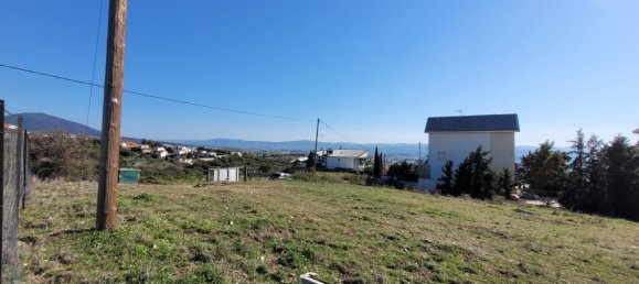 Terrain à Panorama, Greece 3000m² No. 93500 2
