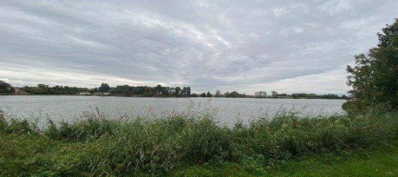 4 rooms Apartment in Bernhardsthal, Austria No. 244328 14