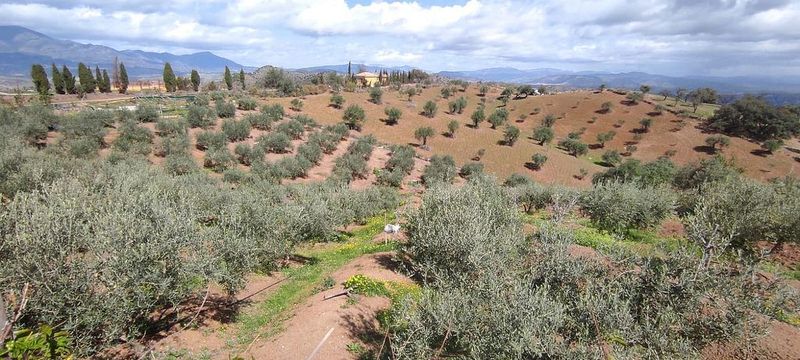 Grundstück in Coin, Spain 4600m², Nr. 220989