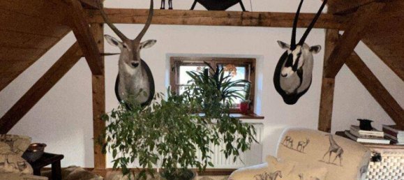 24غرفة فيلا في Mariazell, Austria رقم 161234 10