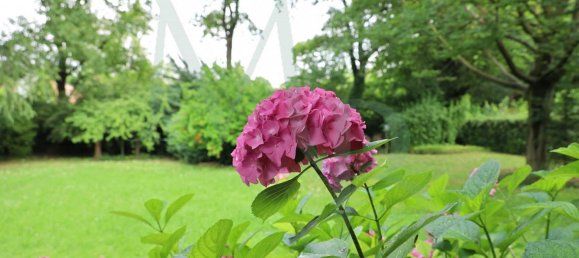 8-Zimmer Villa in Padua, Italy, Nr. 301913 8