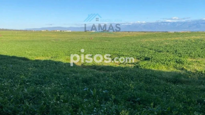 Grundstück in Caceres, Spain 10000m², Nr. 268654