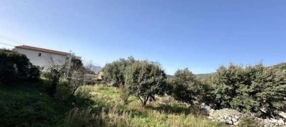 824m² Land in Calenzana, France No. 303743 3