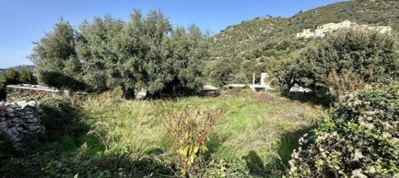 824m² Land in Calenzana, France No. 303743 2