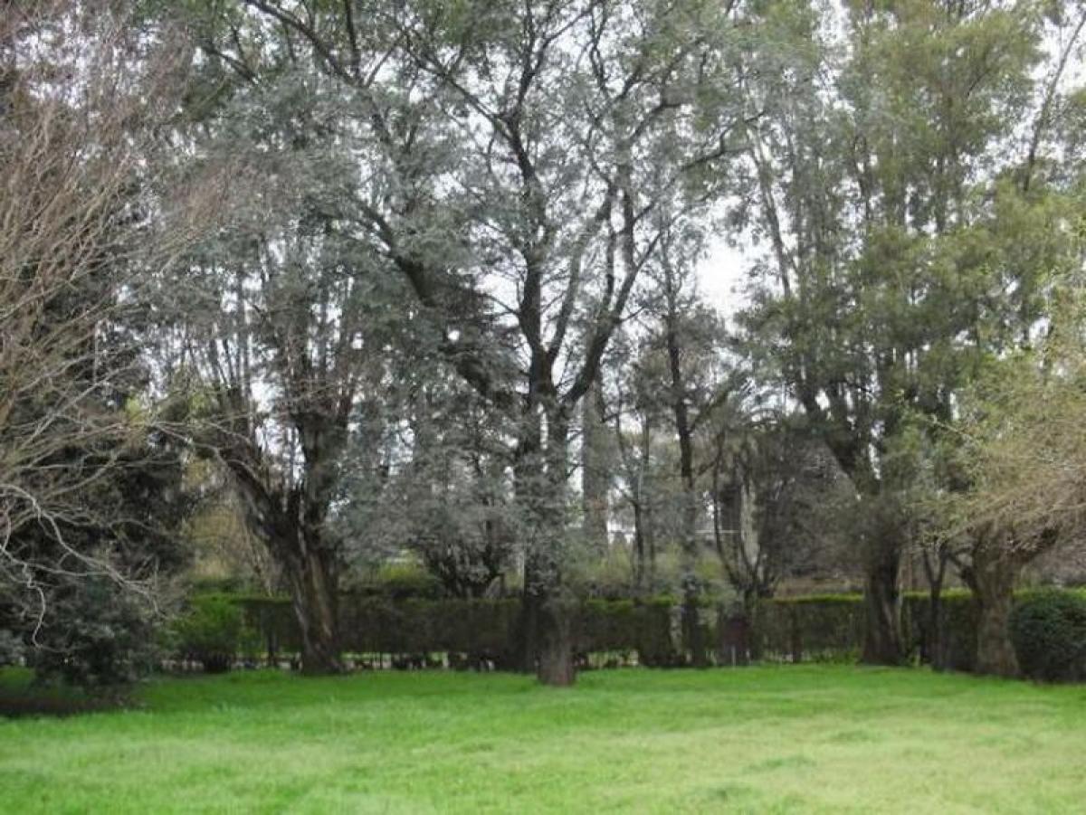 Terreno em Ituzaingo, Argentina N.º 41293