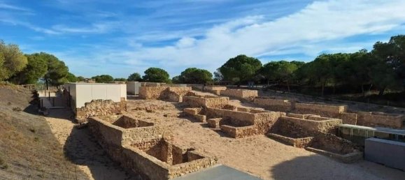 4 bedrooms Bungalow in Guardamar del Segura, Spain No. 13265 30