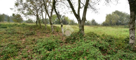 Casa de 4 habitaciónes en Felino, Italy No. 160331 25
