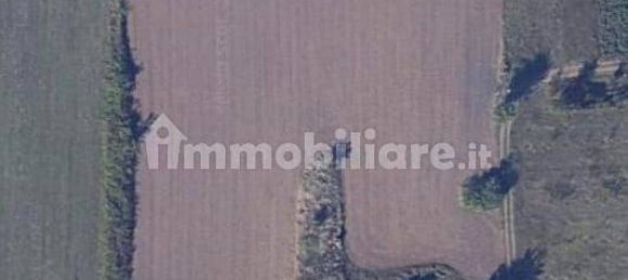 Grundstück in Villa di Briano, Italy 4423m², Nr. 333828 2