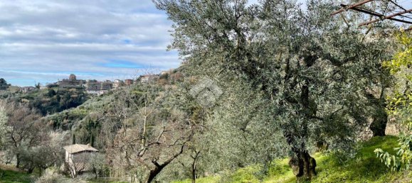 3 rooms House in Olevano Romano, Italy No. 47741 12