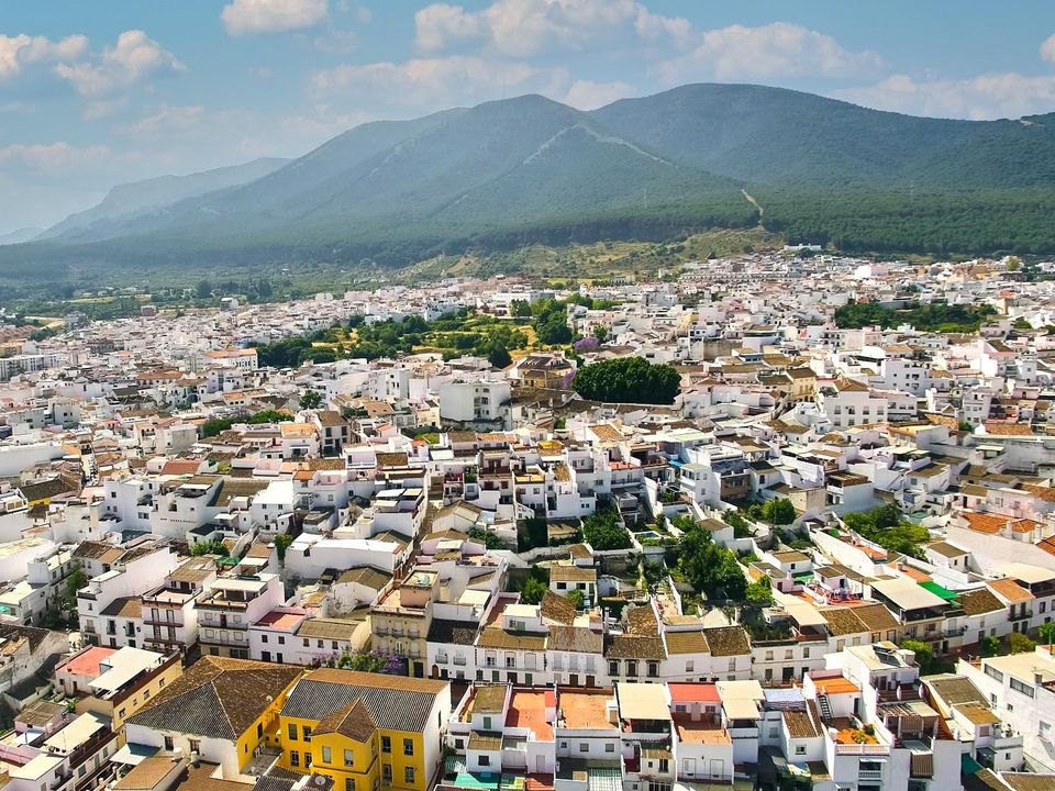  Land in Alhaurin el Grande, Spain No. 270111