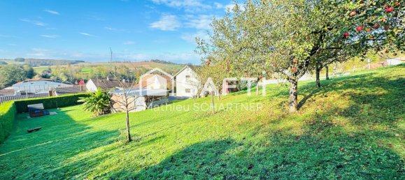 5 bedrooms House in Wittersdorf, France No. 45707 2