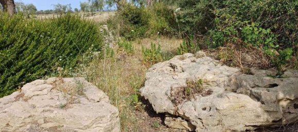 4غرفة قطعة أرض في Syracuse, Italy رقم 244586 2