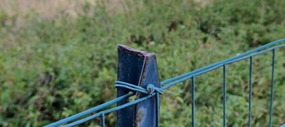 4غرفة قطعة أرض في Syracuse, Italy رقم 244586 4