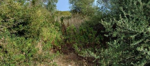 4غرفة قطعة أرض في Syracuse, Italy رقم 244586 6