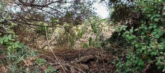 4غرفة قطعة أرض في Syracuse, Italy رقم 244586 5