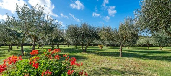 10 Schlafzimmer Schlösser in Cortona, Italy, Nr. 56474 45