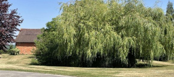  Castillos de 10 habitaciónes en Occitanie, France No. 360846 23