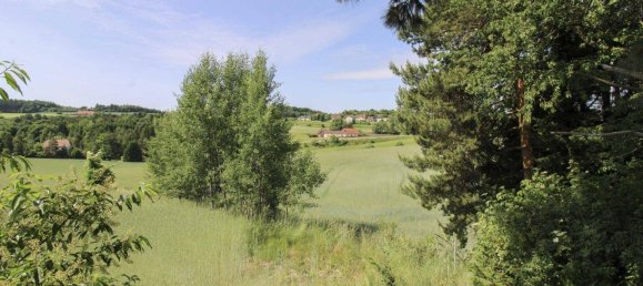 Земельный участок 2587м² в Гфёль, Австрия № 162081 5