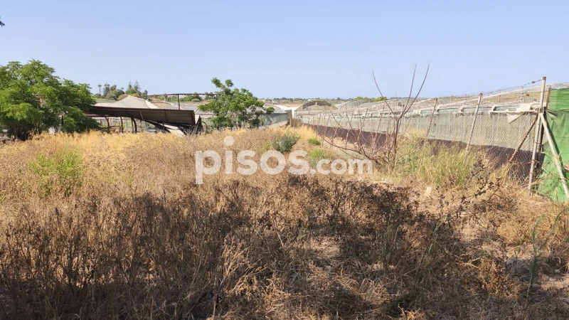 Склад 2100м² в Рота, Испания № 213309