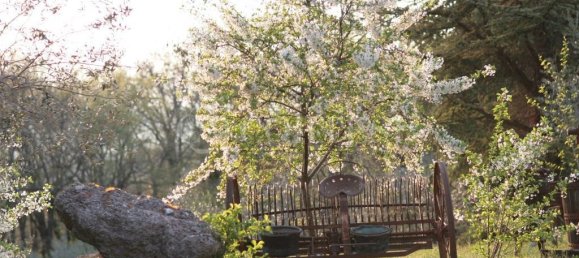 16 bedrooms House in Assisi, Italy No. 271949 41